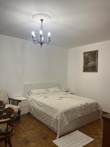 a bedroom with a bed and a chandelier at Sea & Books Studio in Trieste