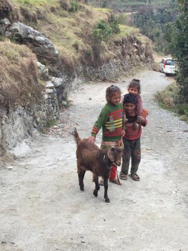 two children and a dog on a dirt road at The Hermitage Kanatal in Kanatal