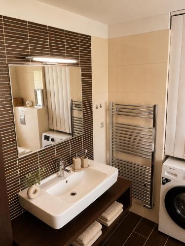 a bathroom with a sink and a mirror at Apartmán Višňovka in Pardubice