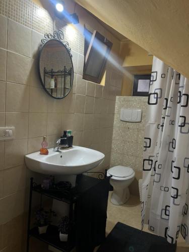 a bathroom with a sink and a toilet and a mirror at Casa Venusia in Alatri