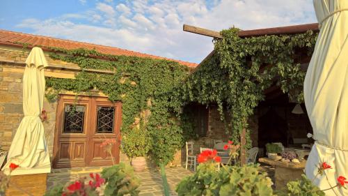 a house covered in ivy with a wooden door at Ethaleia Hotel in Moudhros