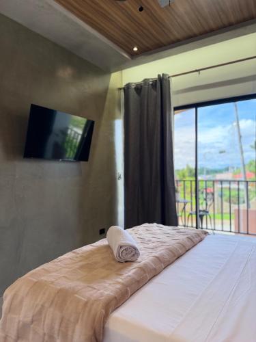 a bedroom with a bed with a flat screen tv at Hotel Oasis AYA FE in San Isidro de El General