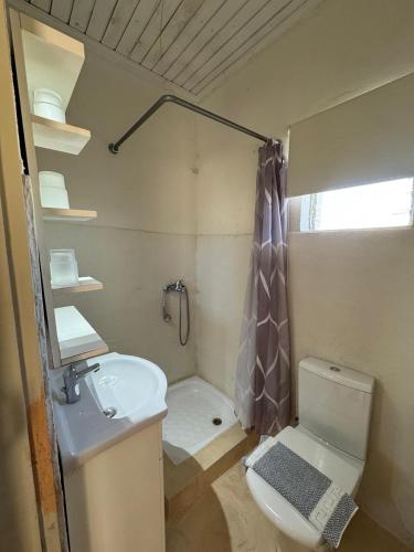 a bathroom with a sink and a toilet and a shower at Antilia Corfu 1 in Agios Georgios