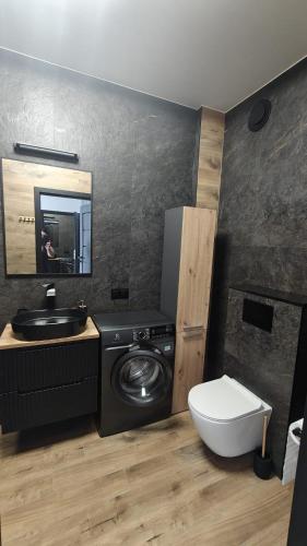 a bathroom with a washing machine and a toilet at Ceramic Studio Bolesławiec-klimatyzacja, parking podziemny in Bolesławiec