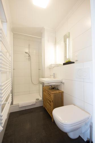 a white bathroom with a toilet and a shower at Der Teichhof in Grandenborn
