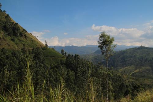 Un paisaje natural cerca de la habitación en casa particular