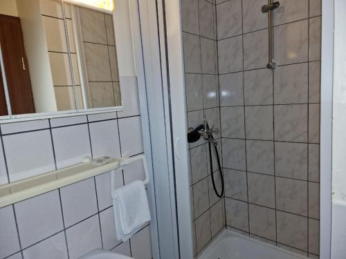 a bathroom with a shower with a toilet and a sink at La Fontana in Langelsheim