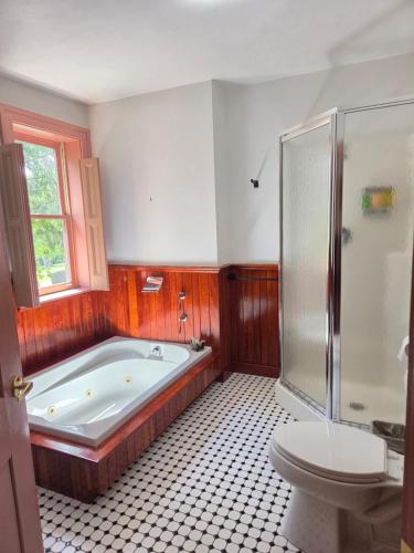 a bathroom with a bath tub and a toilet at The Cortina Inn in Donegal