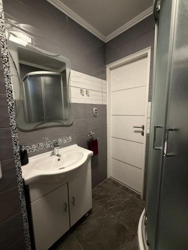 a bathroom with a sink and a mirror at Studio Apartman Jovičić in Bjelovar