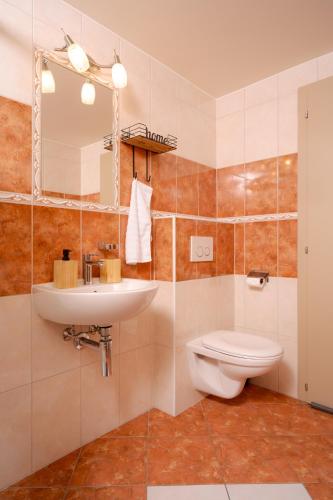 a bathroom with a toilet and a sink at Maison les Mésanges in Flanthey