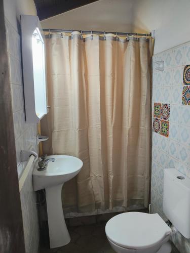 a bathroom with a sink and a toilet and a shower curtain at El Quincho de Mariana in Balcarce