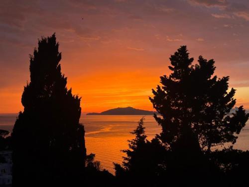 a sunset over the ocean with trees in the foreground at Villa Aurora Caprese in Capri