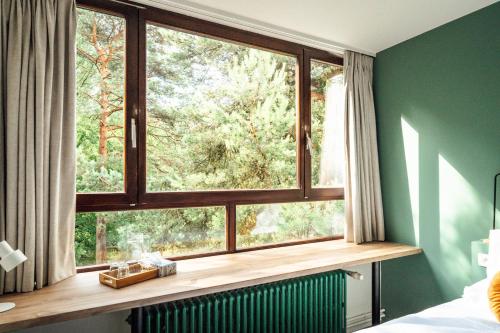 a window in a bedroom with a green wall at ReCenter in Brecht