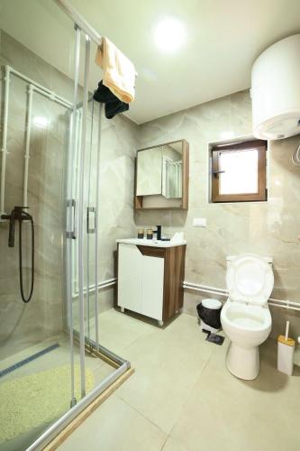 a bathroom with a toilet and a shower at Koala Resort in Raška