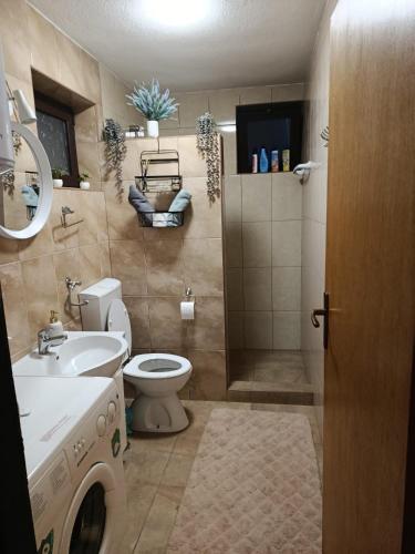 a bathroom with a toilet and a sink and a shower at Studio apartman EMA in Brodski Varoš