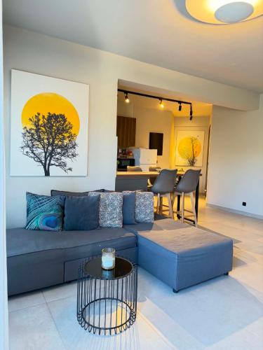 Animus Premium apt