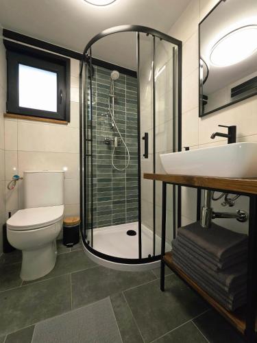 a bathroom with a shower and a toilet and a sink at Domek Daglezjowy in Małe Leżno