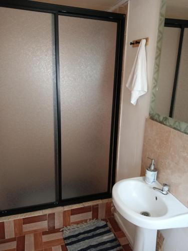 a bathroom with a shower and a toilet and a sink at Refugio Rancagua in Pueblo de Naturales