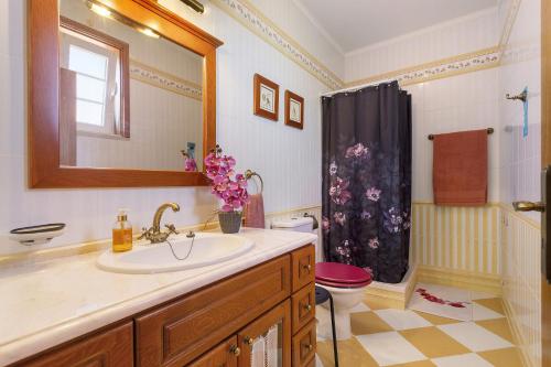 a bathroom with a sink and a toilet and a mirror at Sol Lua House in Fátima