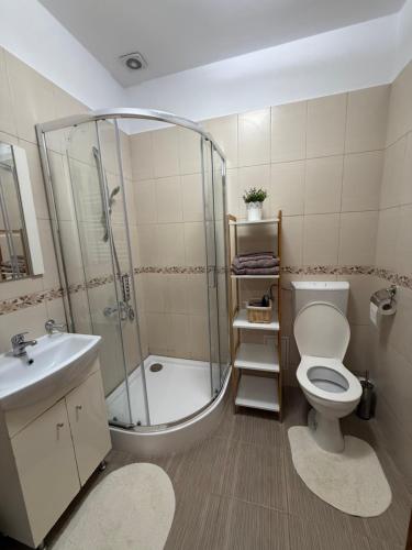 a bathroom with a shower and a toilet and a sink at Insieme Studio - Small Square in Sibiu