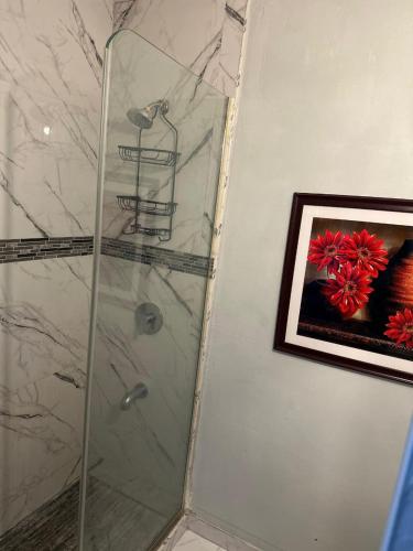 a shower with a glass door and a picture at Diamond Palace in Kingston