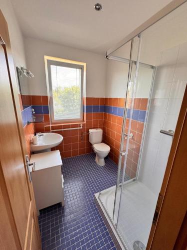 a bathroom with a toilet and a sink and a shower at Moravian Garden House Novosedly Adults Only in Novosedly
