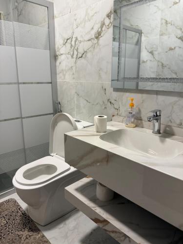 a bathroom with a sink and a toilet and a mirror at 3 BR apartment, fully renovated in Amman