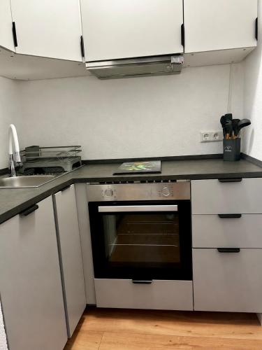a kitchen with a stove and a sink at EDA di Lago, 2-Zimmer Wohnung, Kostenfreies Parken, 24h Check-IN in Reichenau