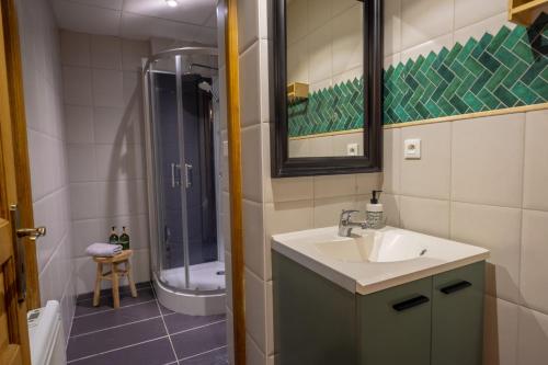 a bathroom with a sink and a shower at La Maison Douce Lourdes in Lourdes