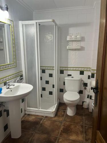 a bathroom with a toilet and a shower and a sink at Apartamentos Esencia vistas embalse 1 in Hornos