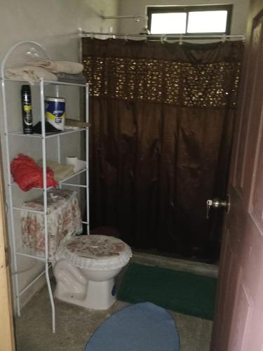 a bathroom with a toilet and a shower at Casa Rural Los Bufalos - Farm Stay in Guacimo in Guácimo