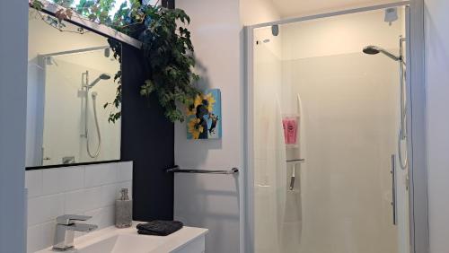 a bathroom with a shower and a white sink at Christchurch - Port Levy, Bed & Breakfast in Port Levy