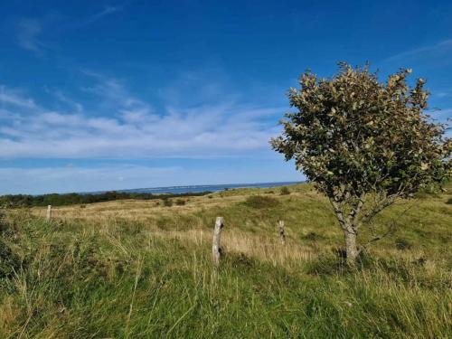 Gallery image of 6 persons tranquil cottage in Knebel in Knebel