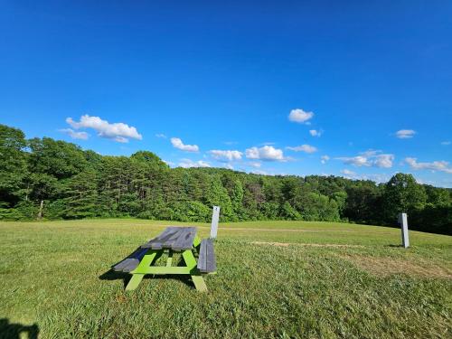 a picnic table sitting in a field of grass at Hocking Hills Store Campsite #4 in Logan
