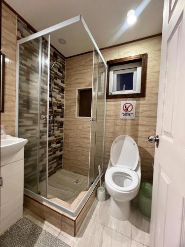 a bathroom with a shower with a toilet and a television at Cabañas Laguna Magica in Valdivia