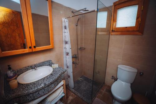 a bathroom with a shower and a sink and a toilet at Villa Kemet in Jazīrat al ‘Awwāmīyah