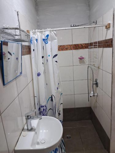 a bathroom with a sink and a shower curtain at DELAILOA ADVENTURES Homestay with Tom in Nadi