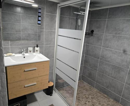 a bathroom with a shower and a sink at La Cazatila in Petite Île