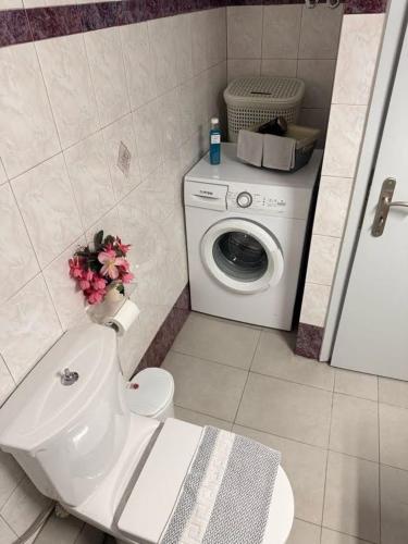 a bathroom with a toilet and a washing machine at KATERINA's House in Preveza