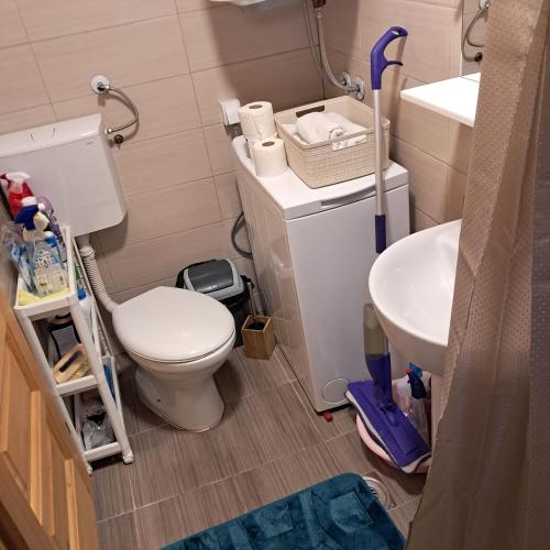a bathroom with a toilet and a sink at Etno house Bajka in Žabljak