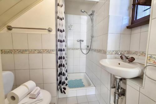 Casa Cecilia Ascona 500m from the Lake - Happy Rentals