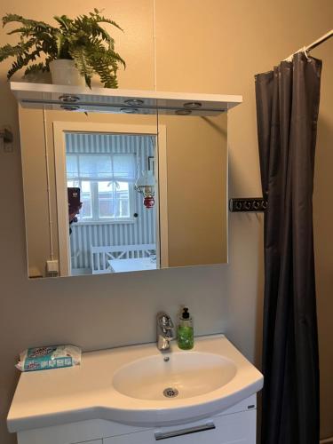a bathroom sink with a mirror and a shower at Fyrås Gård Tallstugan in Fyrås