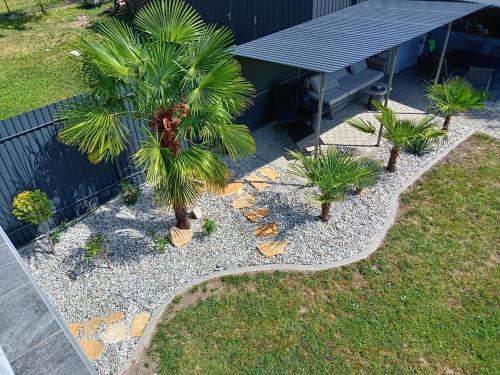 a backyard with palm trees and a picnic table at Kikapcs apartman in Alsóörs