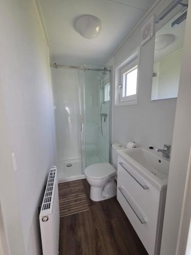 a white bathroom with a toilet and a sink at Fiets & Relax Chalet in Den Bommel