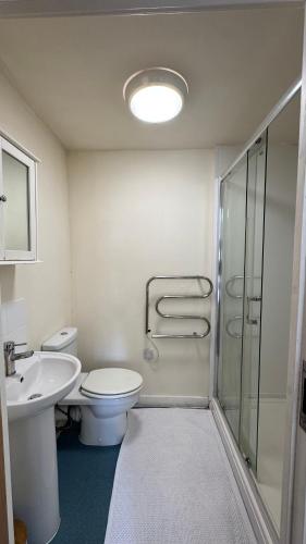 a bathroom with a toilet and a sink and a shower at Bambi Nest in Sketty
