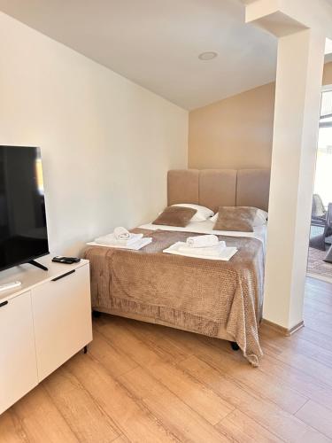 a bedroom with a bed and a flat screen tv at Villa Hercegovački raj Elf in Blagaj
