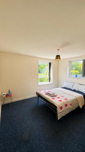 a bedroom with a large bed and two windows at Bambi Nest in Sketty