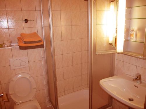 a bathroom with a shower and a toilet and a sink at Adlerhof am Sonnenplateau in Mieming