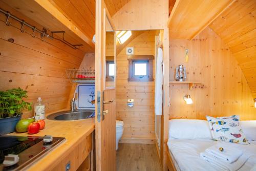 a small kitchen in a tiny house at Hausboot Dotterbart in Stralsund