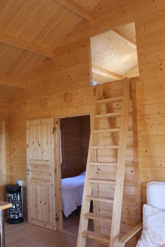 a loft bed in a log cabin with a ladder at Finca el enebro in Valdemorillo